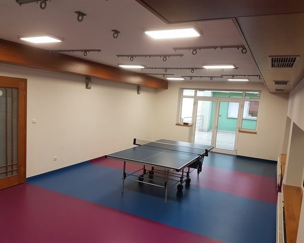 Stol tenis (5)