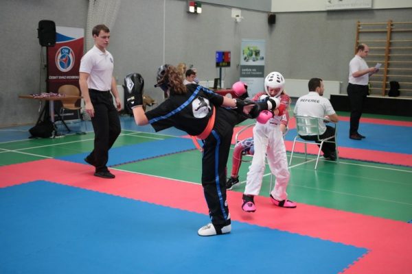 [www bbarena cz][104]MCR2018kickbox20281029