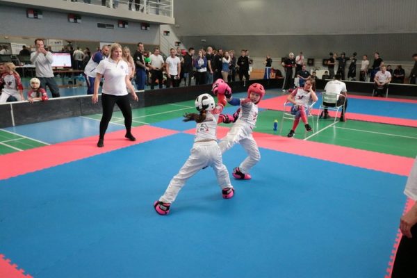 [www bbarena cz][534]MCR2018kickbox2028329