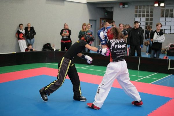 [www bbarena cz][575]MCR2018kickbox20281229