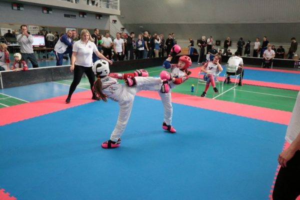 [www bbarena cz][673]MCR2018kickbox2028229