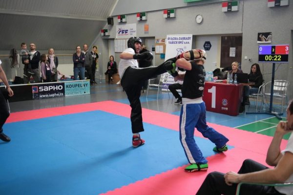 [www bbarena cz][731]MCR2018kickbox2028829