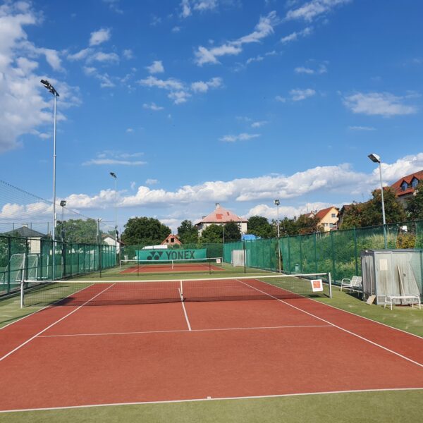 Tenis
